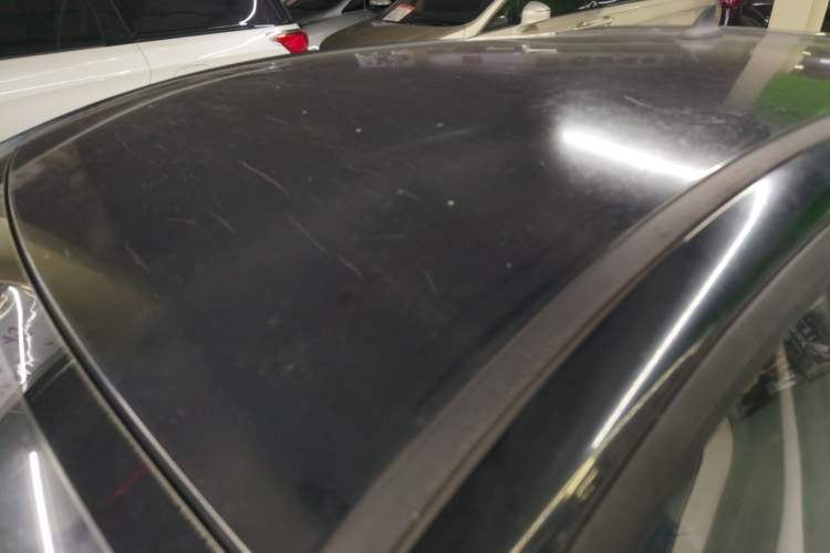 Used SOL E10X 2022 Flower Fairy Design Four-Leaf Clover
