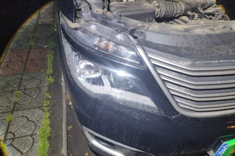 Used FORTHING Lingzhi 2020 M5L 1.6L Base Model 9 Seats Right Front Headlight