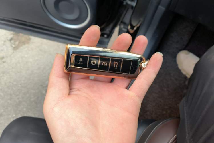 Used Wey VV6 2018 2.0T Two-Wheel-Drive Ultra-Luxury Version China V Standard
