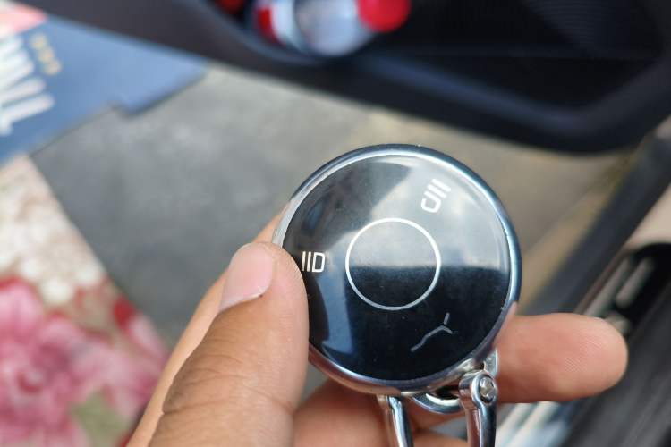 Used NETA AYA 2023 318 Lite Vehicle Key