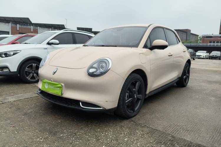 Used ORA Good Cat 2024 401 km Luxury Version