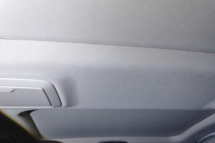 Used BMW 5 Series New Energy 2020 Mileage Upgrade Version 530Le Luxury Package Headliner