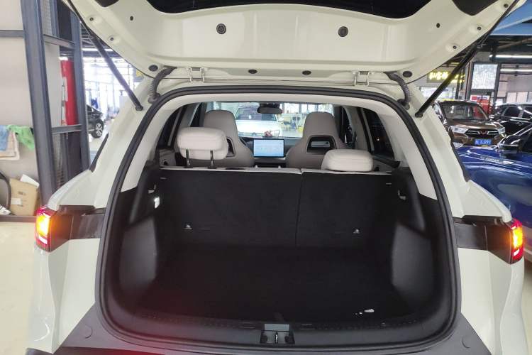 Used BYD Yuan UP 2024 401KM Leading Edition