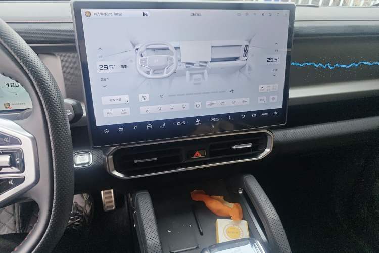 Used JETOUR Shanhai Traveler C-DM 2024 C-DM 206KM Four-Wheel Drive Wilderness Edition
