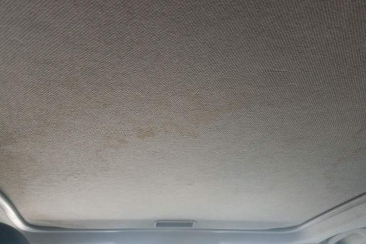 Used Nissan X-Trail 2012 2.5L CVT Luxury Edition 4WD Headliner