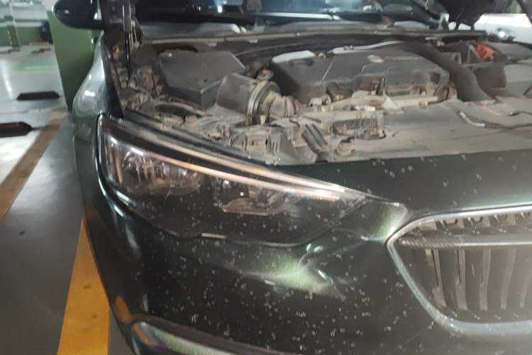 Used Buick Regal 2019 20T Elite Version China V Standard Right Front Headlight