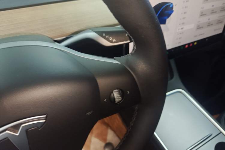 Used Tesla Model 3 2022 Rear-Wheel-Drive Version Gear Lever