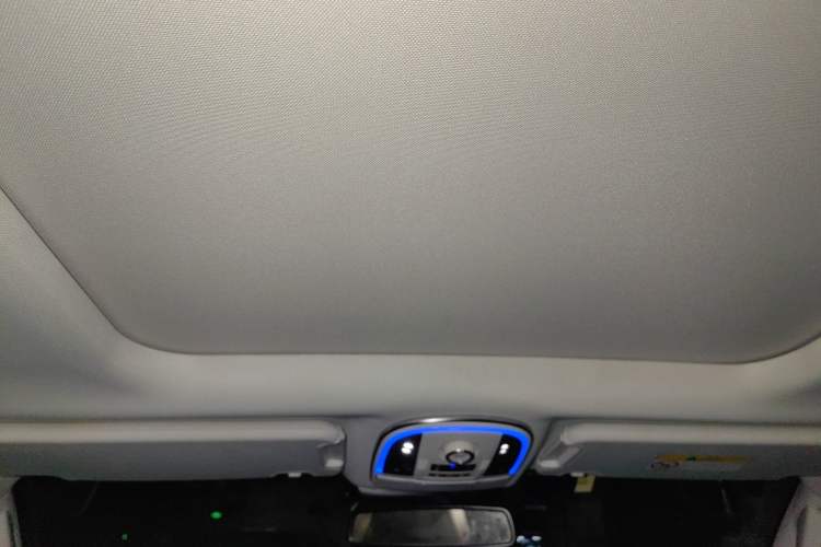 Used Haval H9 2020 2.0T Gasoline 4x4 Prestige 7-Seater Headliner