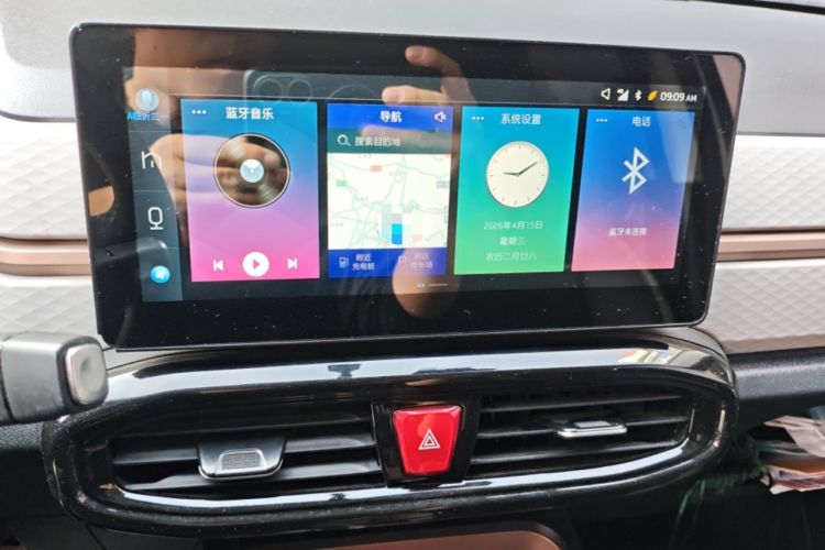 Used SOL E10X 2022 Flower Fairy Style Baby's Breath Audio And AC Panel