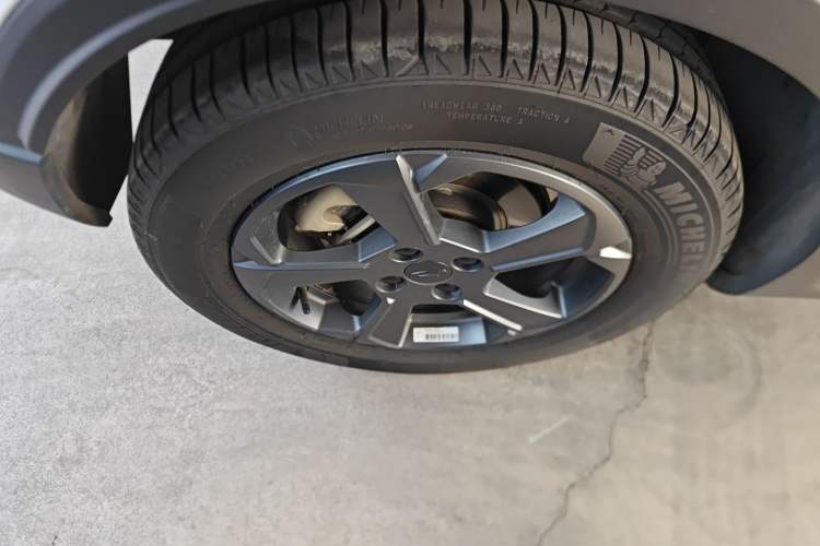 Used Geometry E Firefly 2022 401KM Lightning Tiger 4-Seater