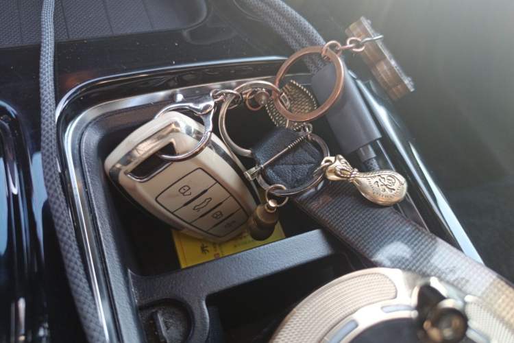 Used Haval DARGO 2022 1.5T DCT Two-Wheel Drive Border Collie Edition
