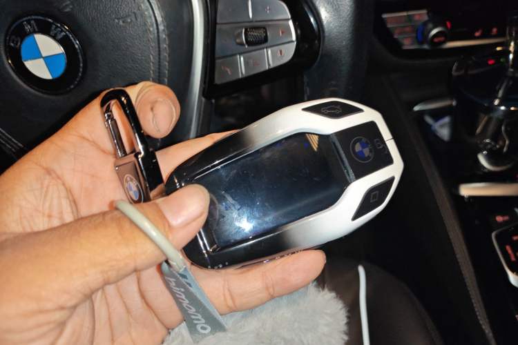 Used BMW 5 Series New Energy 2020 Mileage Upgrade Version 530Le Luxury Package