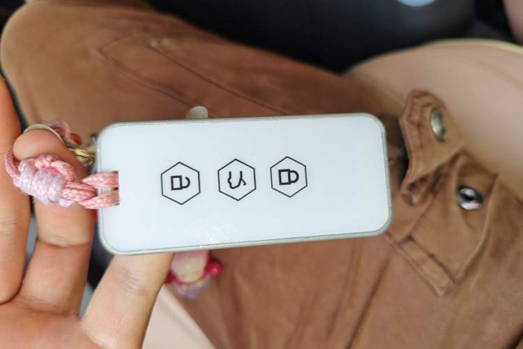 Used Geely Galaxy Panda 2023 Panda Mini 200km Endurance Bear Vehicle Key