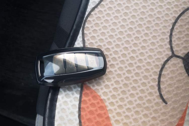 Used ORA Black Cat 2021 301 km Basic Version Interior 1