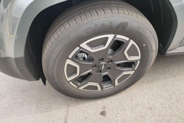 Used Formula Leopard Tai 7 2025 Model 200 km Two-Wheel Drive Max Edition
