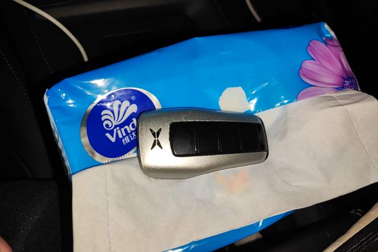 Used XPeng G3 2019 Deluxe Edition
