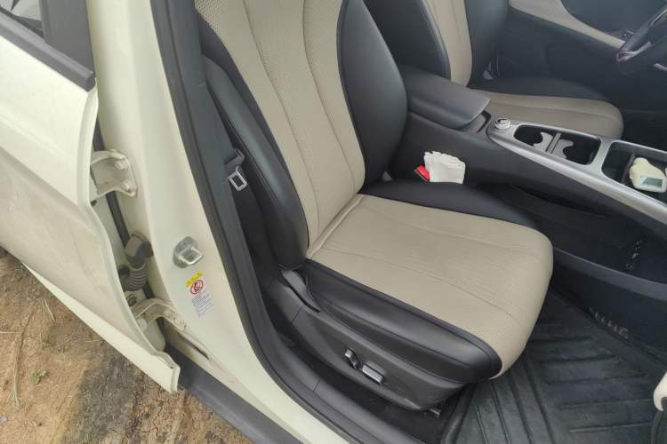 Used BYD Dolphin 2025 Intelligent Driving Version 520km Range Knight Edition Right Front Seat