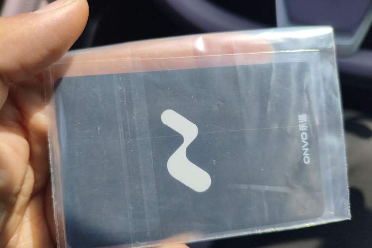 Used ONVO L60 2024 60 kWh Rear-Drive Version
