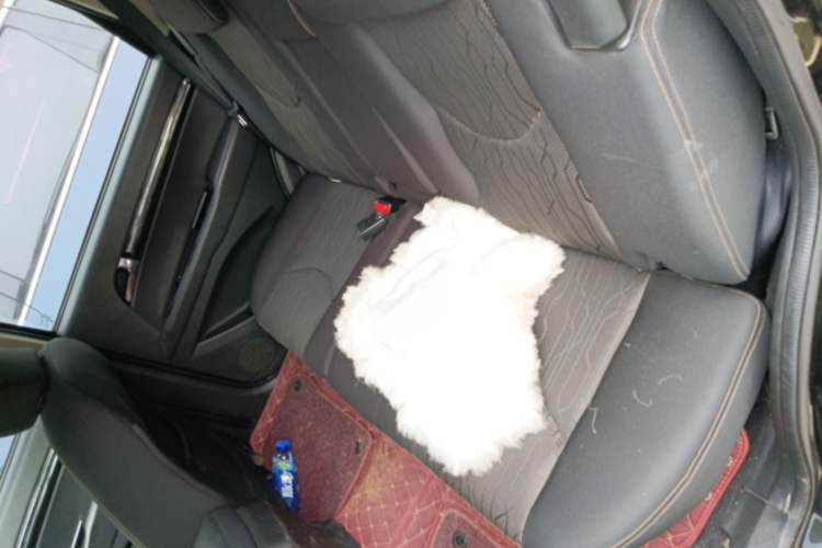 Used Land X8 2017 2.0T Gasoline 4x2 Luxury Edition Left Rear Seat