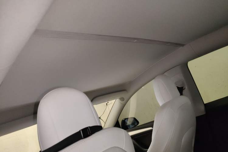 Used Tesla Model Y 2021 Standard Range Rear-Wheel Drive Version Headliner