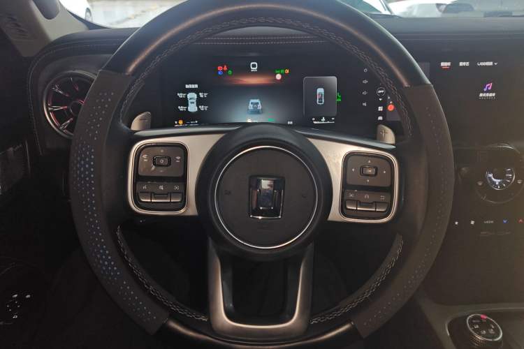 Used Tank 300 2024 2.0T Crosser