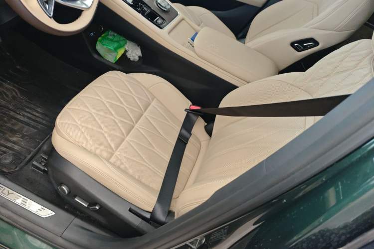 Used Geely Auto Monjaro L 2025 Dongfang Yao 2.0TD Automatic All-Wheel-Drive Wangyue Edition Left Front Seat