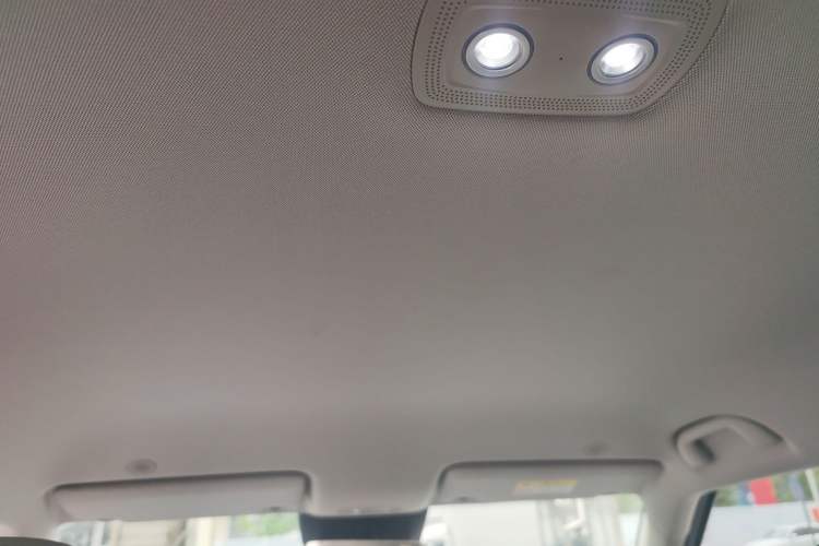 Used BYD Yuan UP 2025 Intelligent Driving Version 401 km Leading Edition Headliner