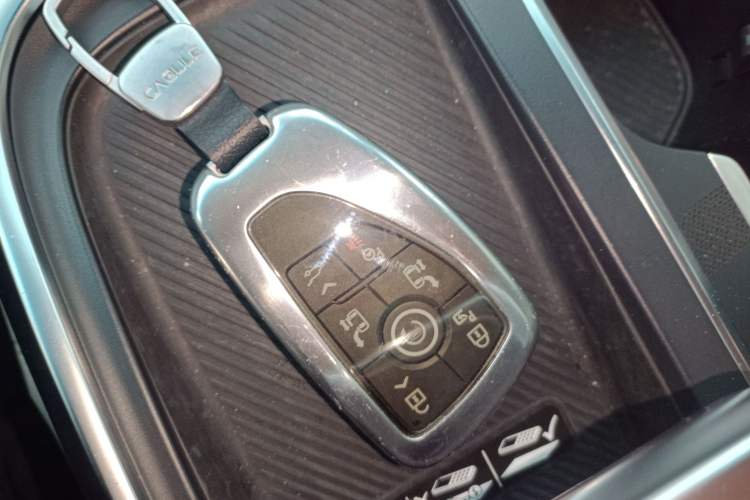 Used Buick Century 2023 2.0T Six-Seater Yinshi Edition
