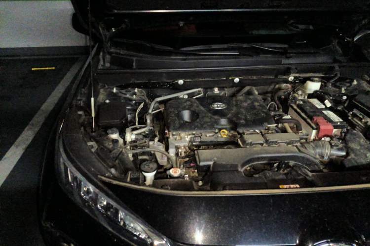 Used Toyota Wildlander 2022 2.0L CVT Two-Wheel Drive Leading Edition