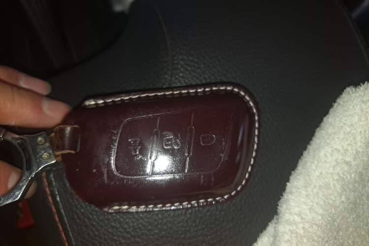 Used Foton General F9 2022 2.0T Gasoline Manual 4x4 Enjoyment Version Standard Cab 4G20TI5
