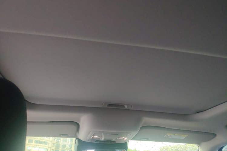 Used Tank 300 2021 Off-Road Edition 2.0T Challenger Headliner