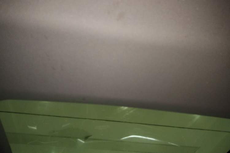 Used Audi A6L 2021 40 TFSI Luxury Prestige Edition Headliner