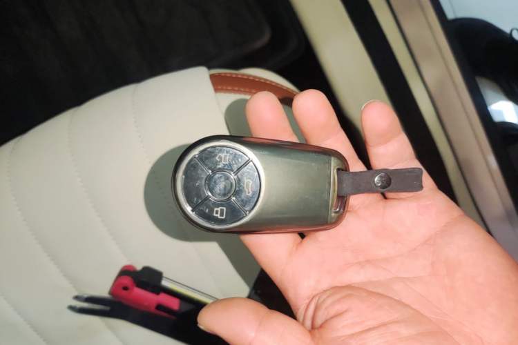 Used ORA Good Cat 2023 401 km Standard Range Luxury Version Lithium Iron Phosphate