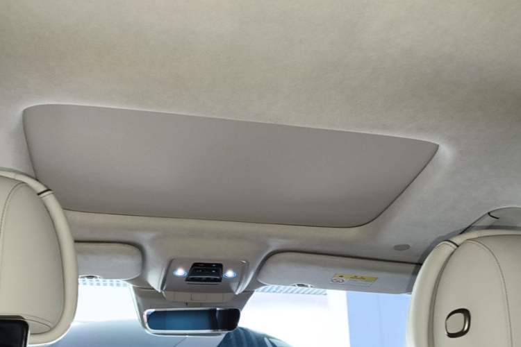 Used Denza D9 2022 DM-i 970 Four-Wheel Drive Flagship Model Headliner