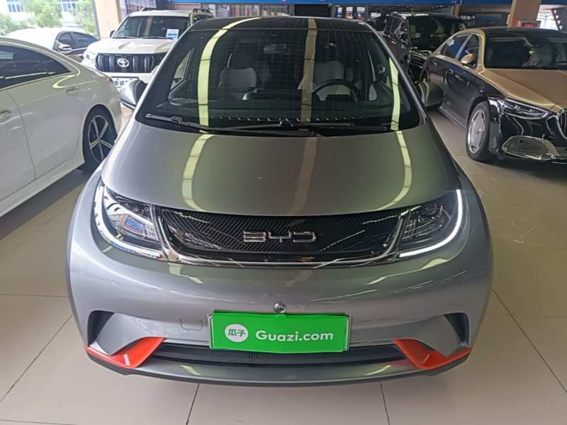 Used BYD Dolphin 2021 405 km Fashion Edition — 2