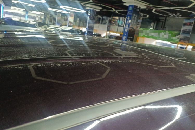 Used Hongqi HQ9 PHEV 2024 2.0T Four-Wheel Drive Business Edition Roof