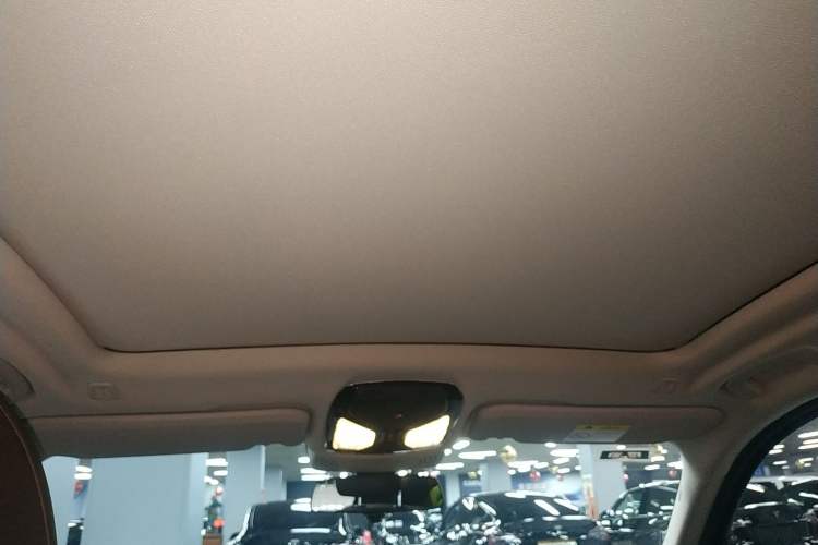 Used BMW iX3 2022 Leading Type Headliner