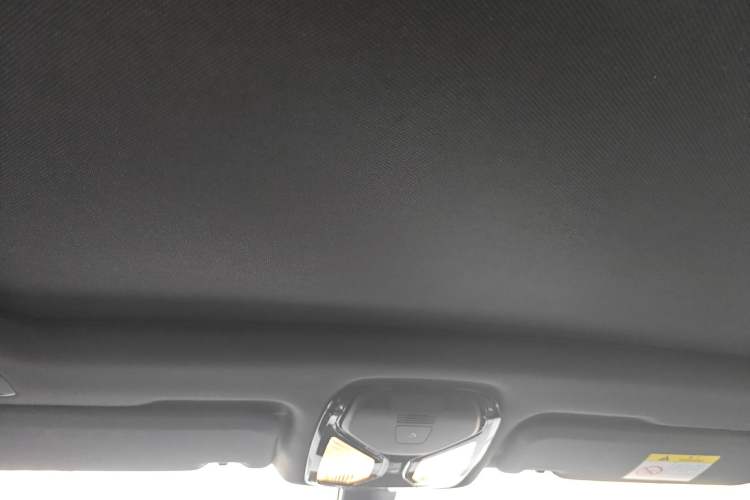 Used BMW X4 2020 xDrive25i M Sport Package Headliner