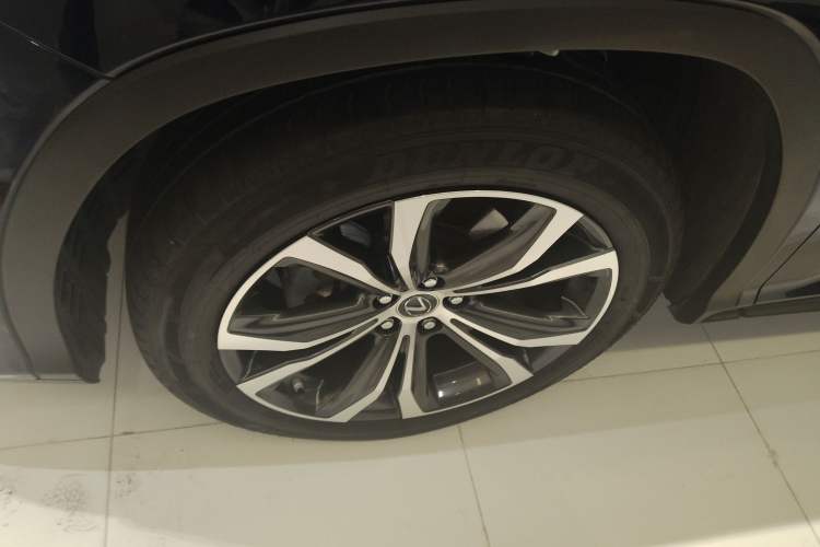 Used Lexus RX 2020 300 4x4 Elegant Edition China VI
