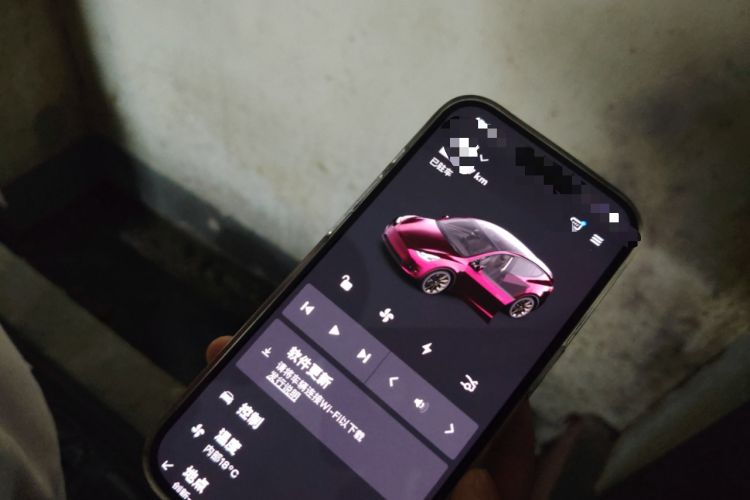 Used Tesla Model Y 2022 Rear-Wheel-Drive Version
