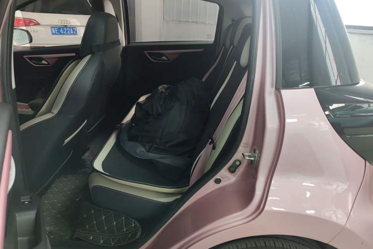 Used SOL E10X 2022 Flower Fairy Design Four-Leaf Clover Left Rear Seat