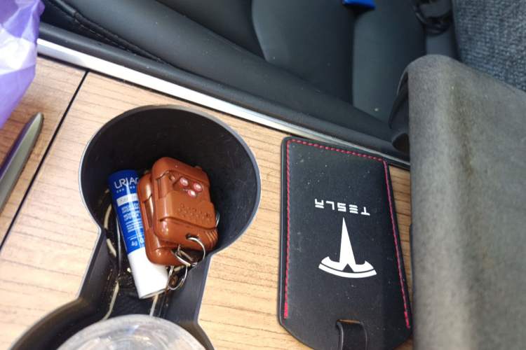 Used Tesla Model 3 2021 Standard Range Rear-Drive Upgraded Version
