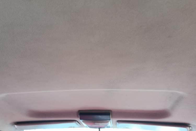 Used FORTHING Lingzhi 
