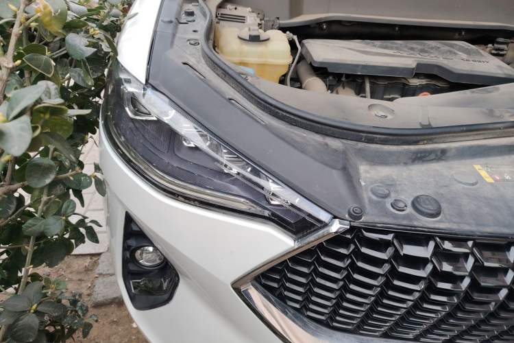 Used Haval F7 2019 1.5T Two-Wheel Drive i-Type China V Standard