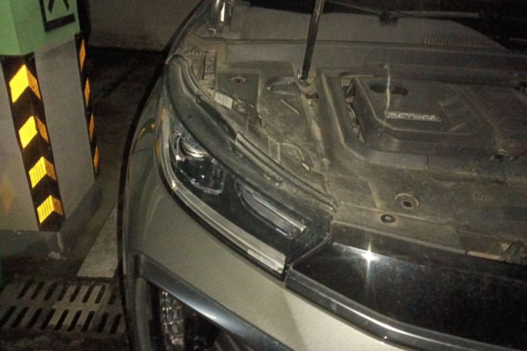 Used EXEED Lingyun 2023 400T Two-Wheel Drive StarRui Pro Edition
