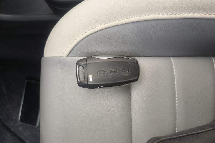 Used ORA White Cat 2022 Xiaoyue Mao Edition 360 km Luxury Model Lithium NMC