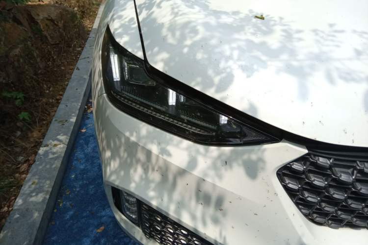 Used Wey VV6 2020 2.0T Two-Wheel Drive Smart Enjoyment+