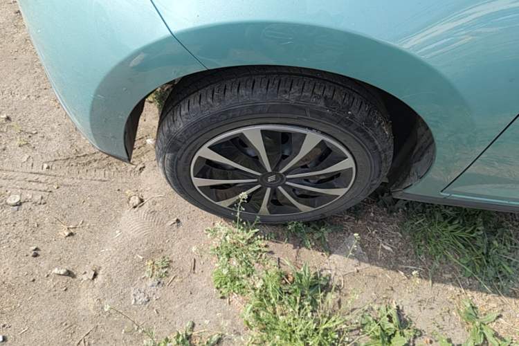 Used JMEV Xiao Qilin 2023 Joyful Edition 201km Comfort Model
