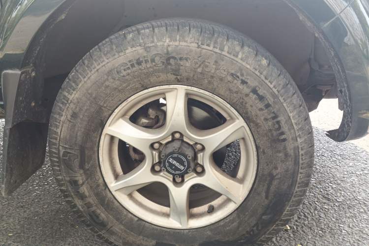 Used Dongfeng Ruichi 2021 2.4T Diesel 4x4 Base Version YCY24165-61