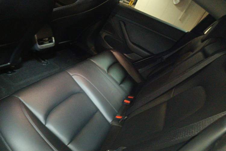 Used Tesla Model 3 2019 Standard Range Rear-Drive Upgraded Version Left Rear Seat